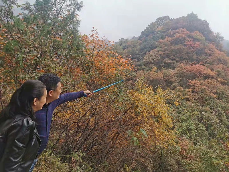 未来星防静电地板