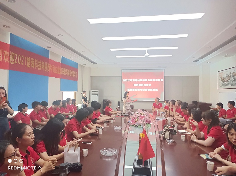 银马企业网络营销分享学习会议